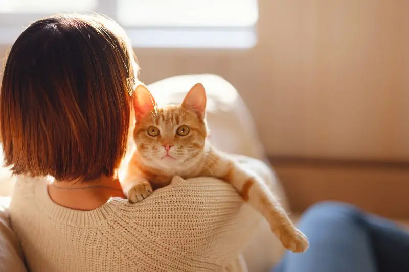 Dr Helen Allergy - International Cat Day - Is My Cat Making Me Ill - Cat Allergy