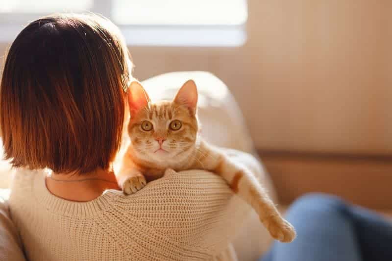 Dr Helen Allergy - International Cat Day - Is My Cat Making Me Ill - Cat Allergy